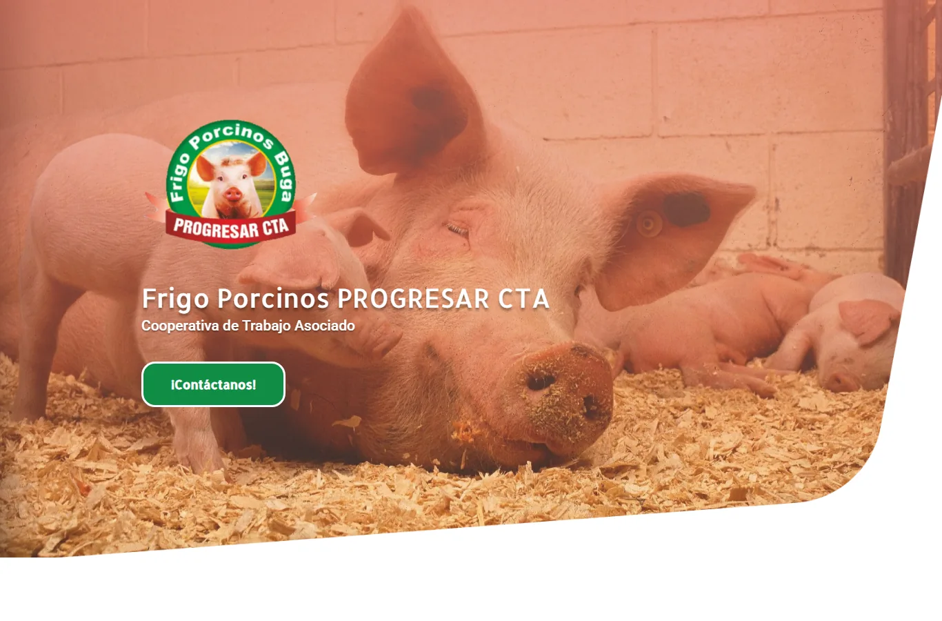 Sitio web de Frigo Porcinos Progresar CTA